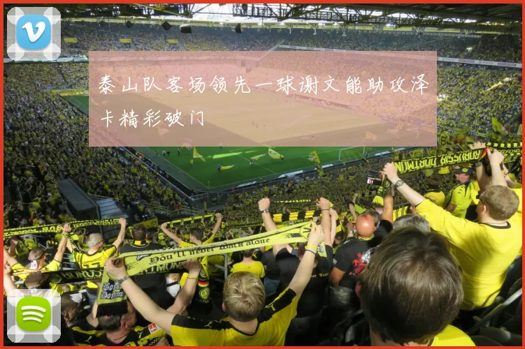 泰山队客场领先一球谢文能助攻泽卡精彩破门